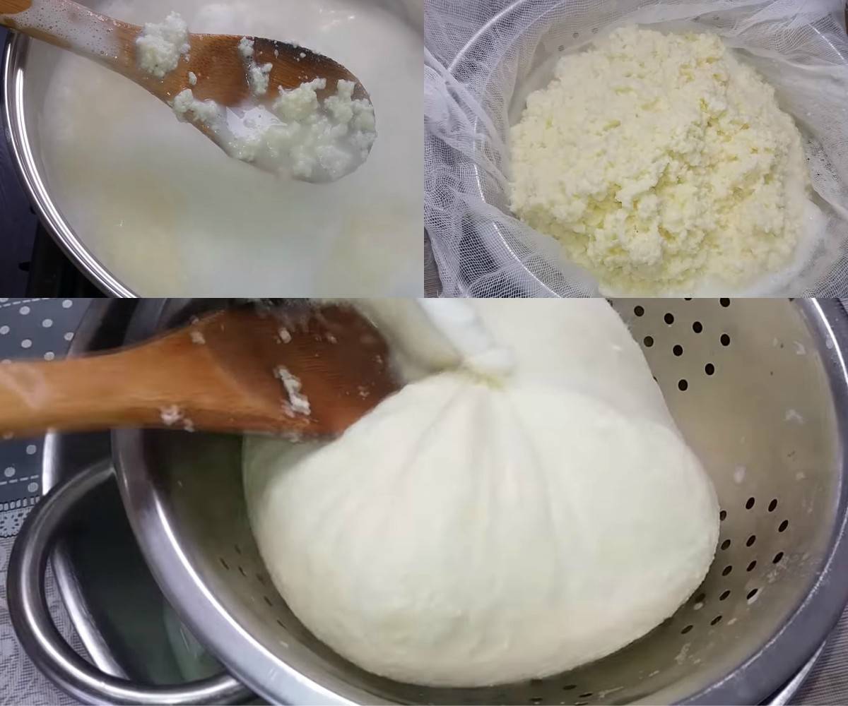 Сварить домашний сыр из творога и молока. Приготовление сыра. Сыр из творога. Творог в марле. Творог в мешочке.